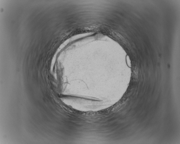 X0000064760817200603131406