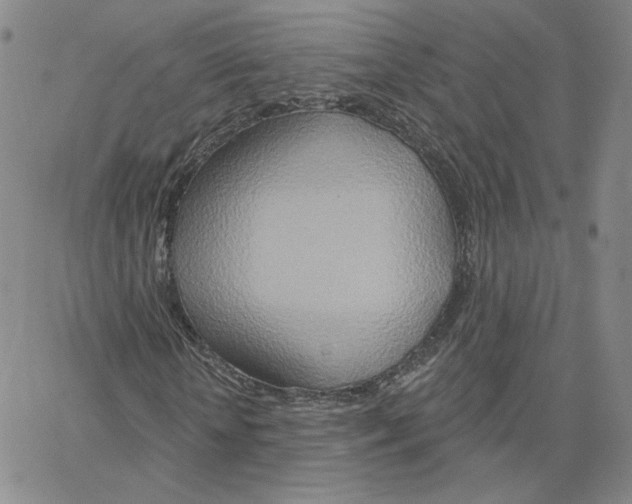 X0000064760818200603131406