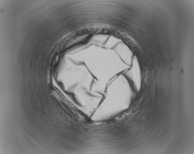 X0000064760821200603131406