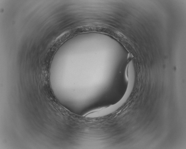X0000064760822200603131406
