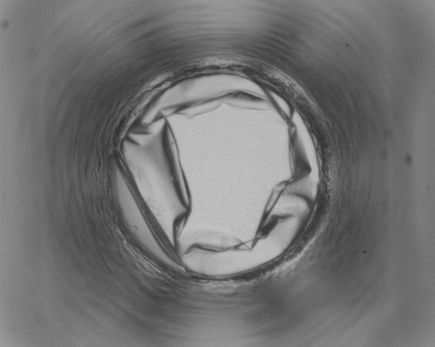 X0000064760825200603131406