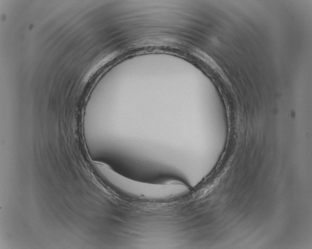 X0000064760826200603131406