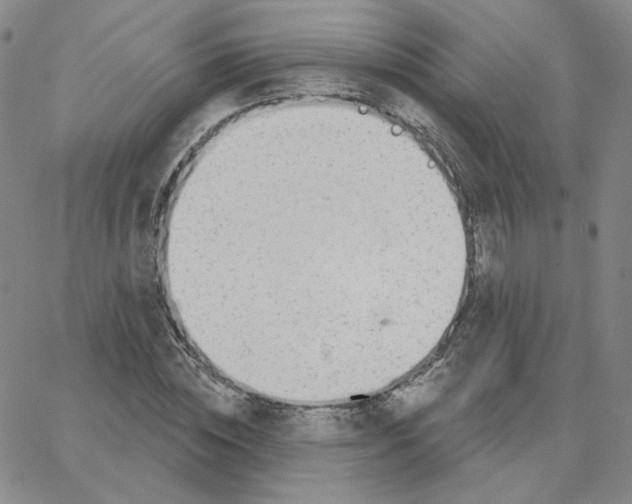 X0000064760828200603131406