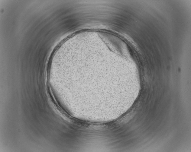 X0000064760840200603131406