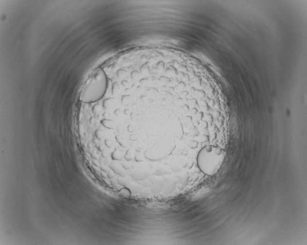 X0000064760848200603131407