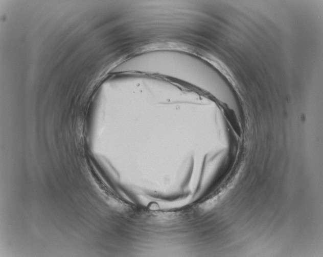 X0000064760849200603131407