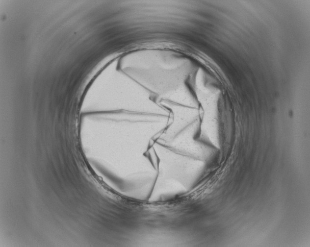 X0000064760852200603131407