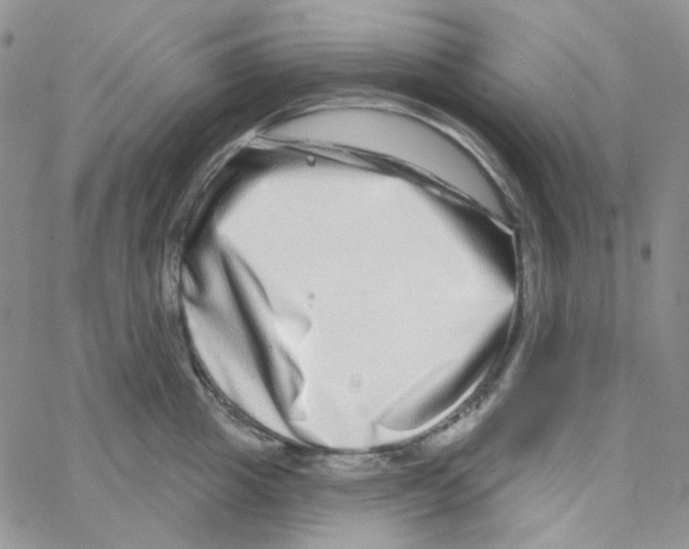 X0000064760857200603131407