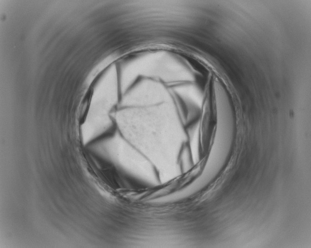 X0000064760858200603131407