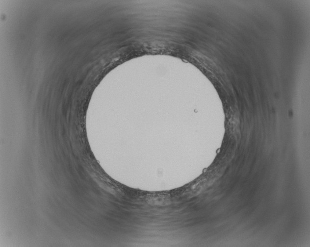 X0000064760865200603131406