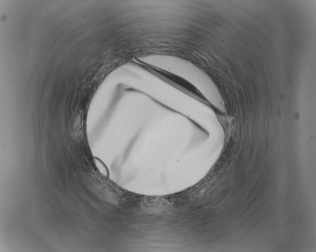 X0000064760866200603131406