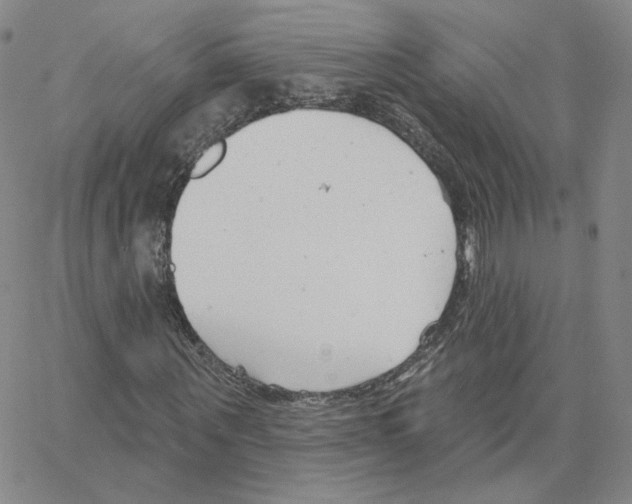 X0000064760867200603131406