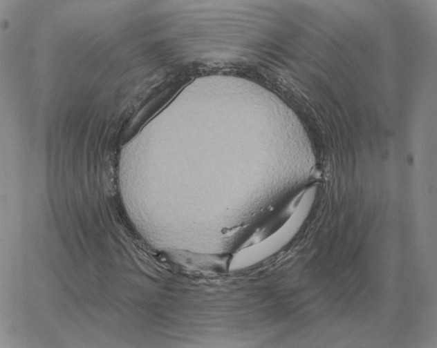 X0000064760868200603131406