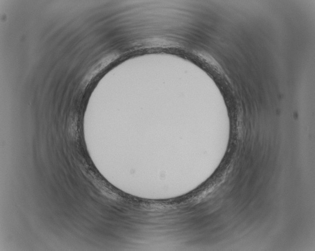X0000064760873200603131406