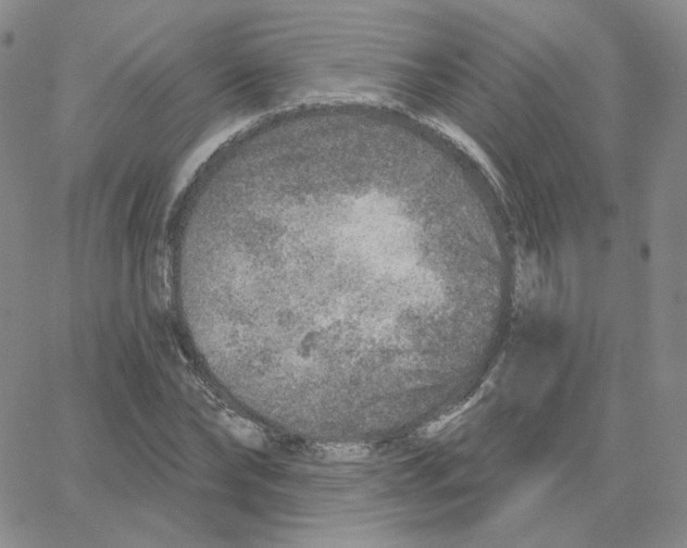 X0000064760878200603131406