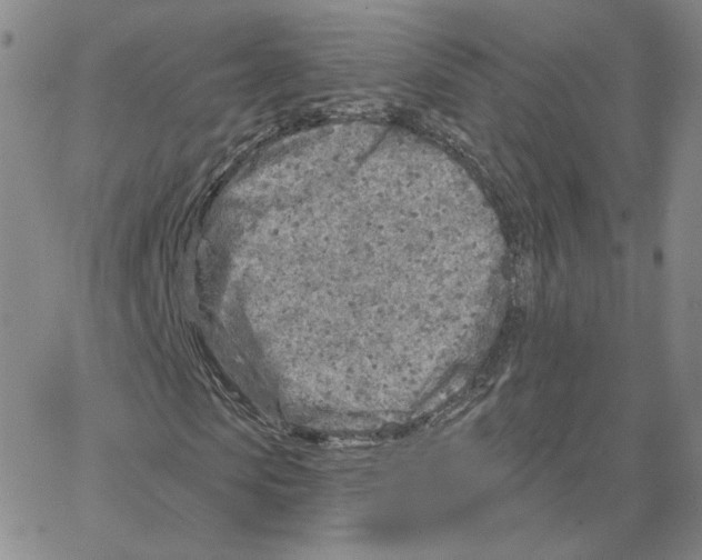 X0000064760913200603131404