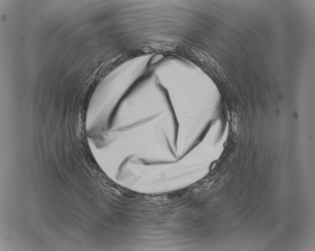 X0000064760915200603131404