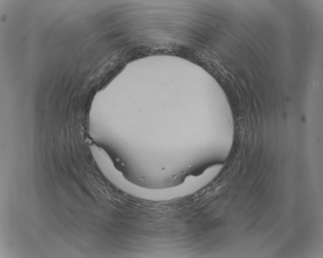 X0000064760916200603131405