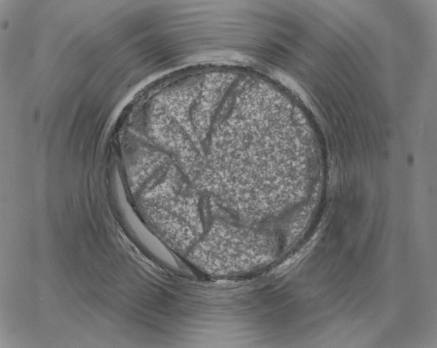 X0000064760923200603131405