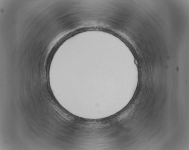 X0000064760927200603131405