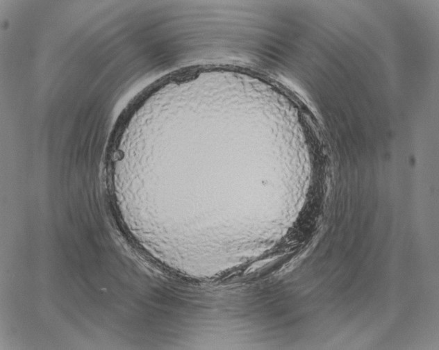 X0000064760928200603131405