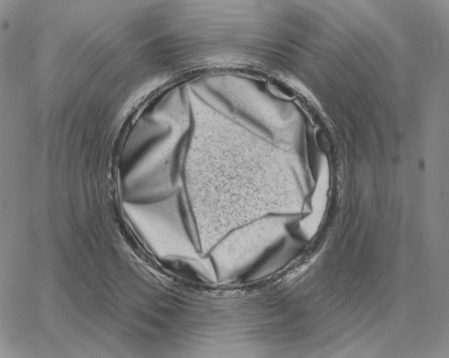 X0000064760930200603131405