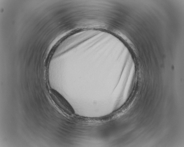 X0000064760933200603131405