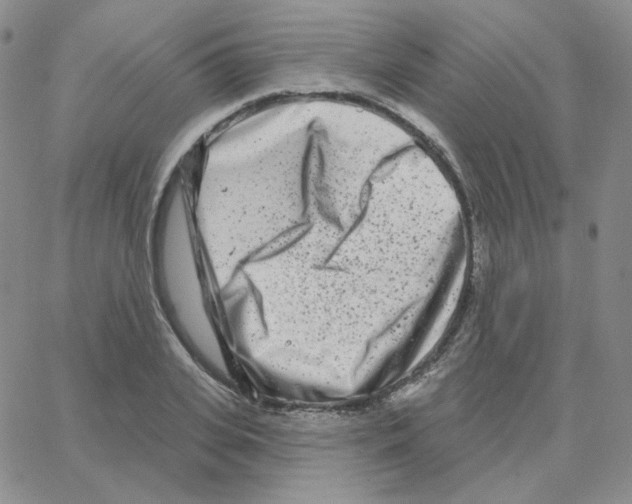 X0000064760935200603131405