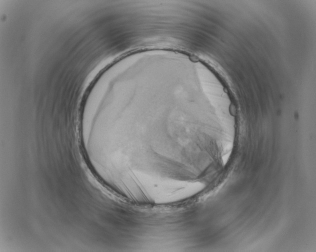 X0000064760941200603131405