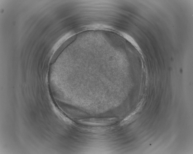 X0000064760946200603131405