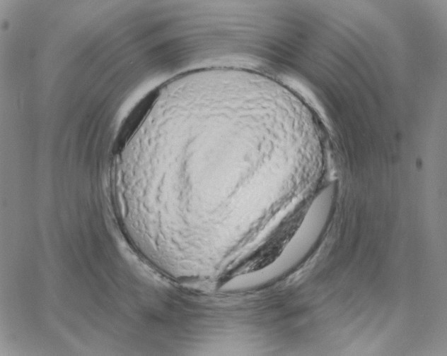 X0000064760952200603131405