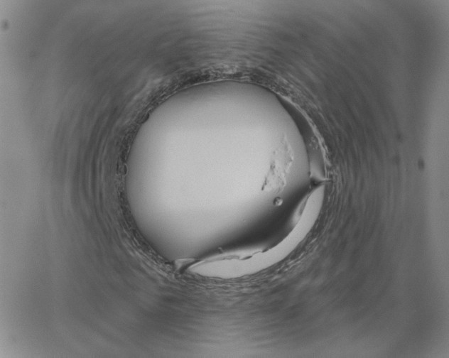 X0000064760961200603131404