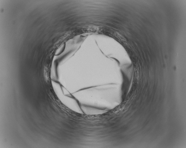 X0000064760962200603131404