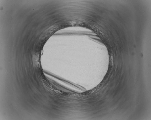 X0000064760963200603131404