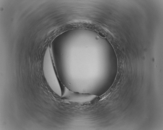 X0000064760965200603131404
