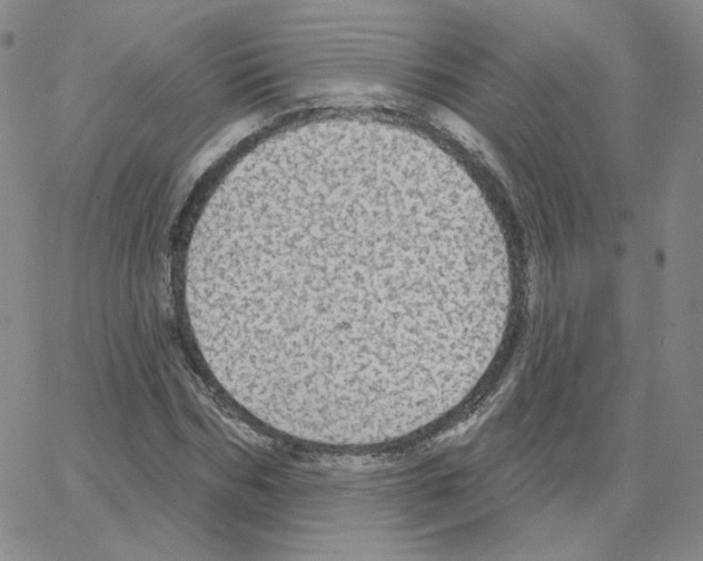 X0000064760970200603131404
