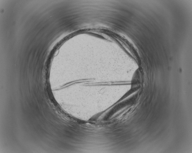 X0000064760975200603131404