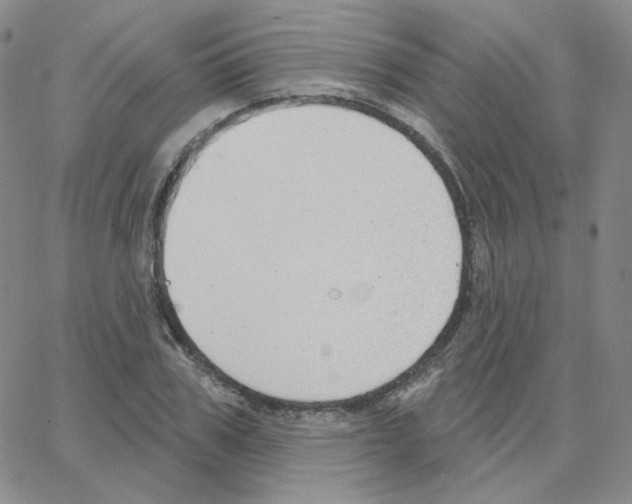 X0000064760979200603131404