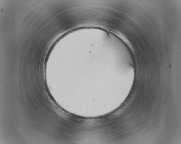 X0000064760988200603131404