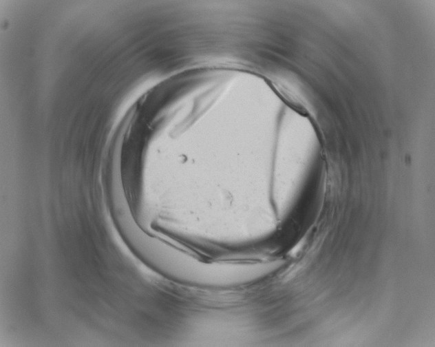 X0000064761007200603131404