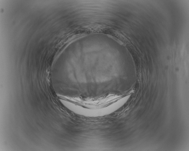 X0000064761010200603131403