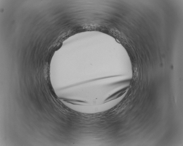 X0000064761012200603131403