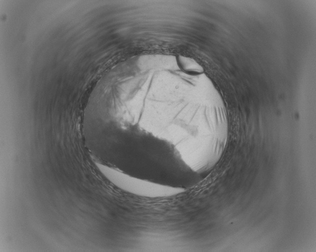 X0000064761013200603131403