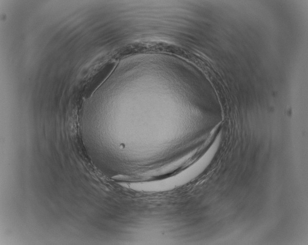 X0000064761014200603131403