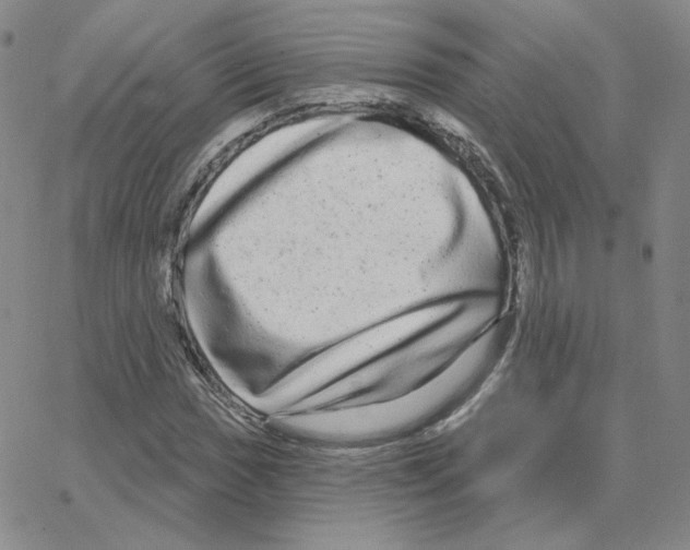 X0000064761017200603131403