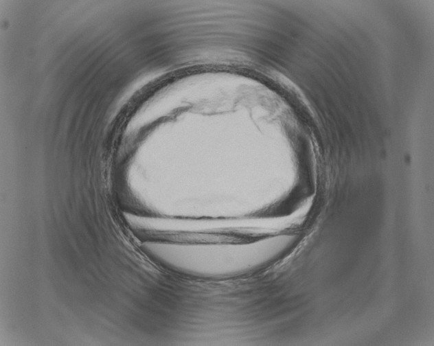X0000064761019200603131403