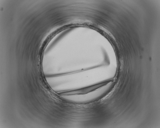 X0000064761021200603131403