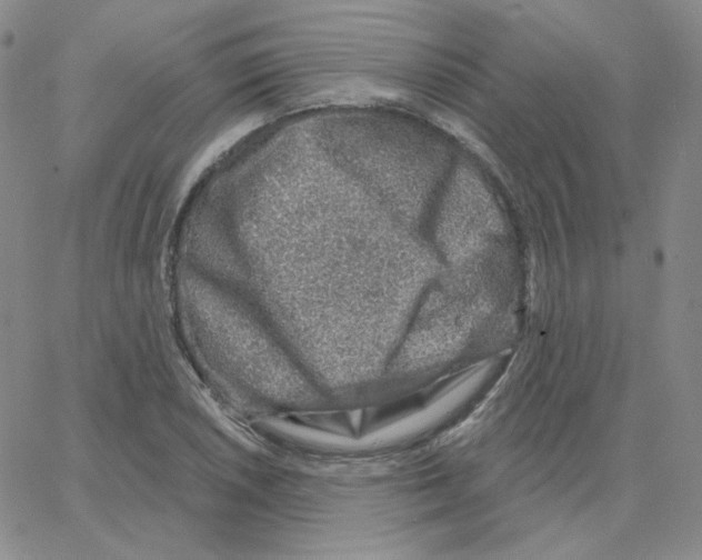 X0000064761026200603131403