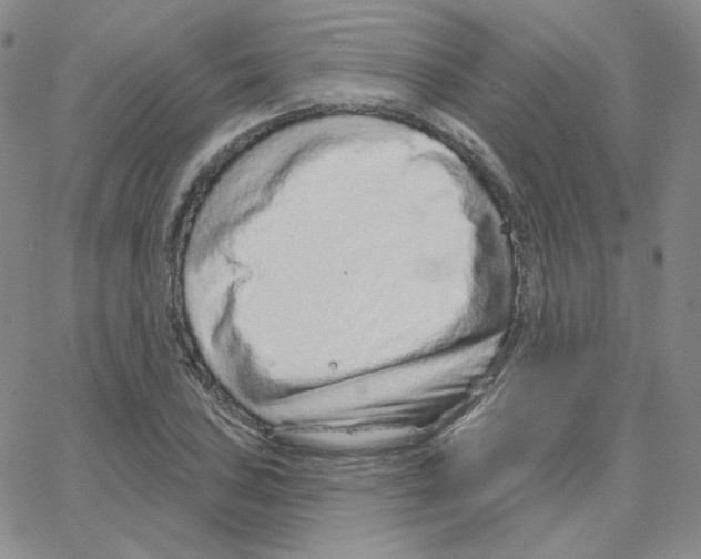 X0000064761027200603131403