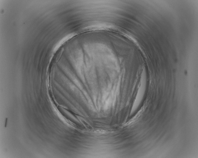 X0000064761034200603131403